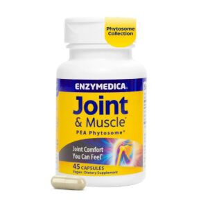 Enzymedica - Fitosoma de Ervilha para Articulações e Músculos - 45 cápsulas vegetais - Viking Supplements