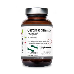 KENAY Cardo-mariano Siliphos (60 cápsulas) - Viking Supplements