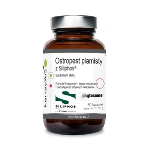 KENAY Cardo-mariano Siliphos (60 cápsulas) - Viking Supplements