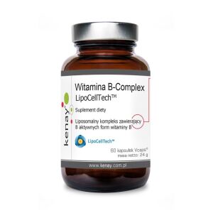 KENAY Vitamin B-Complex Liposomal LipoCellTech (60 caps) - Viking Supplements