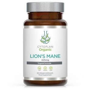 Lion's Mane - 60 vcaps - Viking Supplements