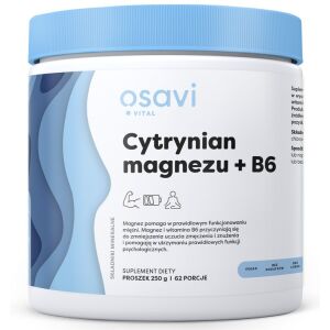 OSAVI Citrato de magnésio + B6 (250 g) - Viking Supplements