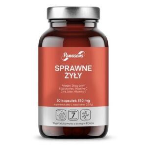 PANASEUS Veias Eficientes (50 cápsulas) - Viking Supplements