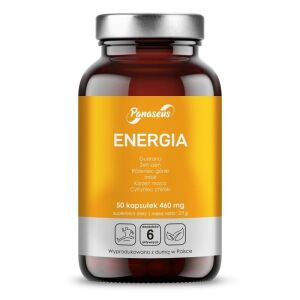 PANASEUS Energy (50 cápsulas) - Viking Supplements