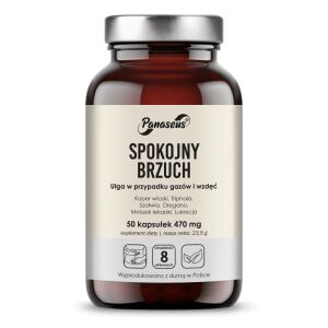 PANASEUS Estômago tranquilo (50 cápsulas) - Viking Supplements