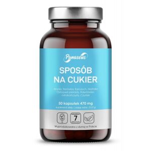 PANASEUS The Sugar Way (50 cápsulas) - Viking Supplements