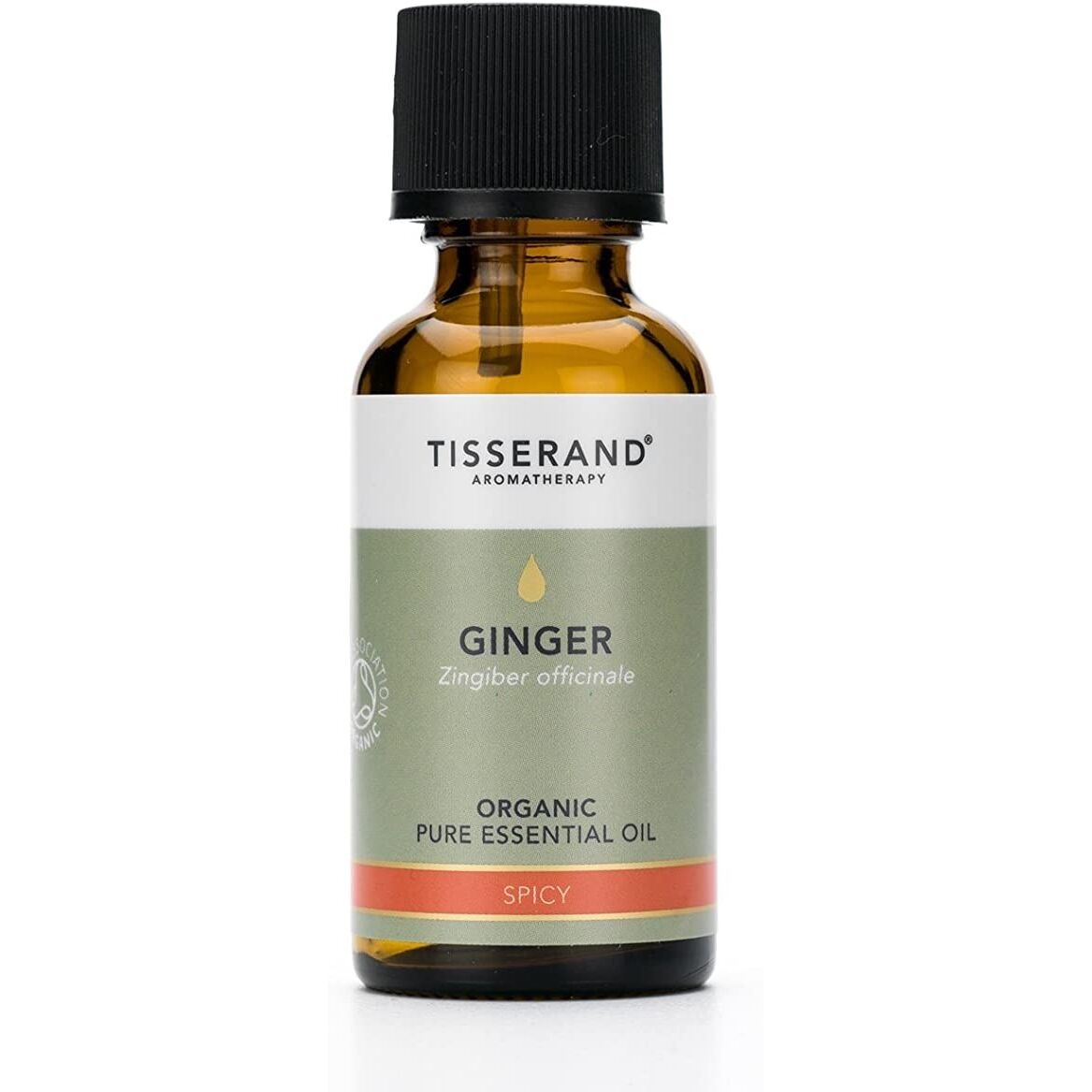 Óleo Essencial de Gengibre Biológico da TISSERAND AROMATHERAPY (30 ml / 1 fl. oz.) - Viking Supplements