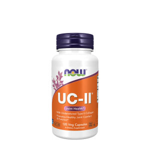 UC-II Undenatured Type II Collagen - 120 caps - Viking Supplements