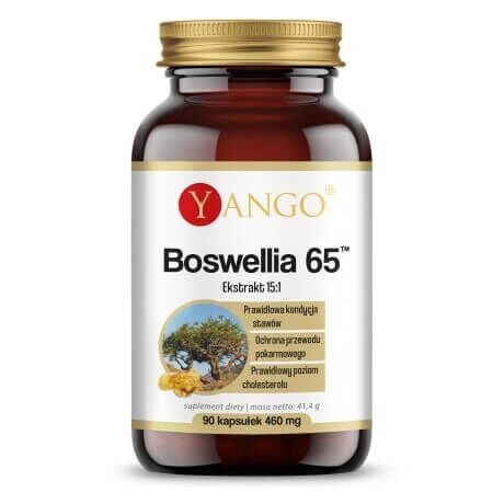 Yango - Boswellia 65, 90 kapsler