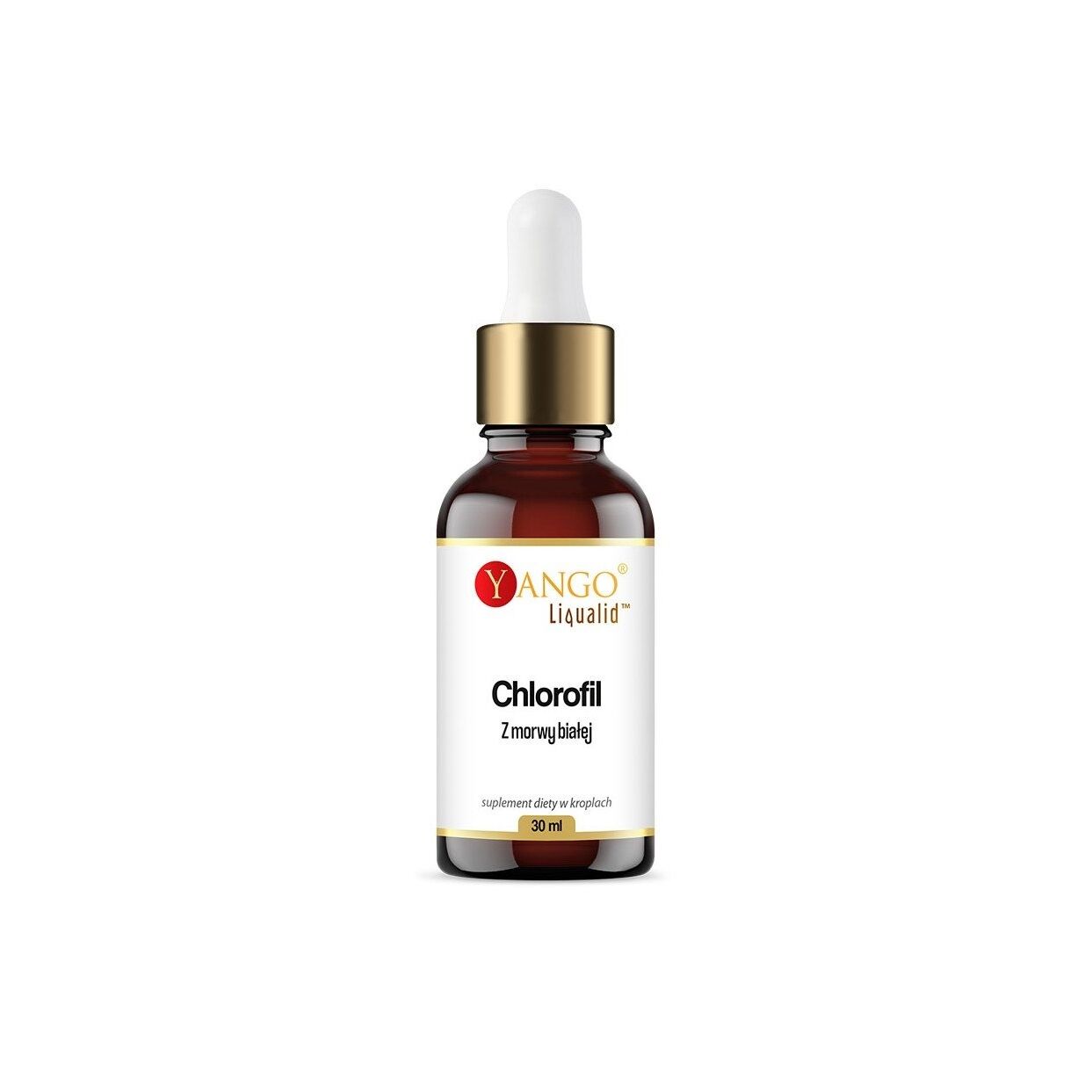 YANGO Clorofila de amoreira branca em gotas (30 ml / 1 fl. oz.) - Viking Supplements